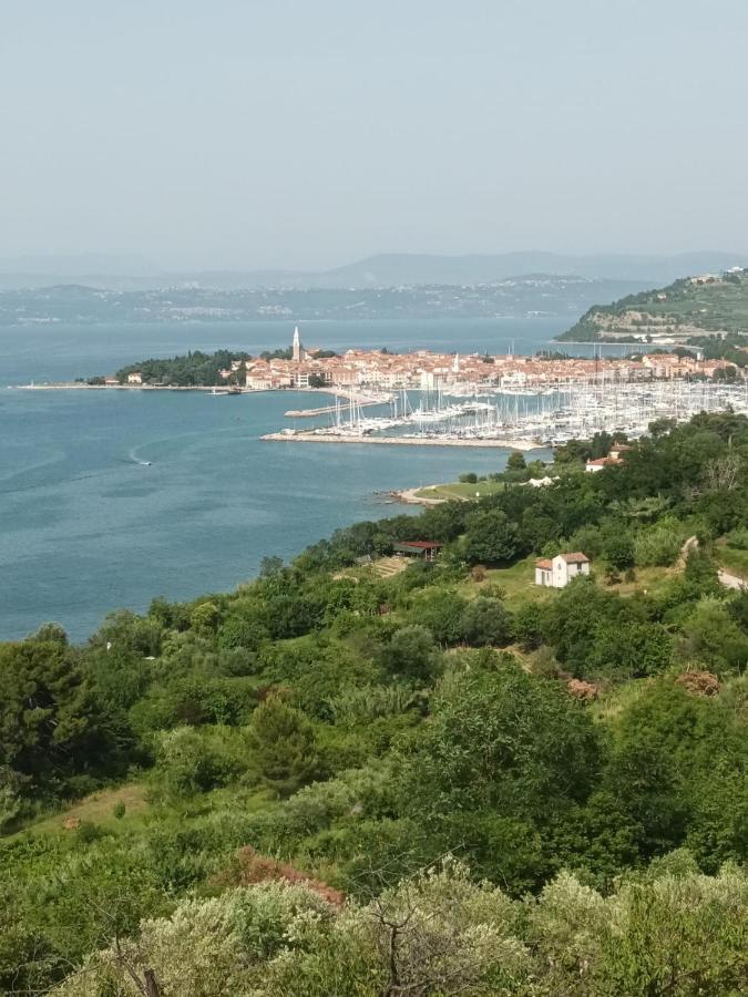 Casa Furlan Apartment Izola Bagian luar foto